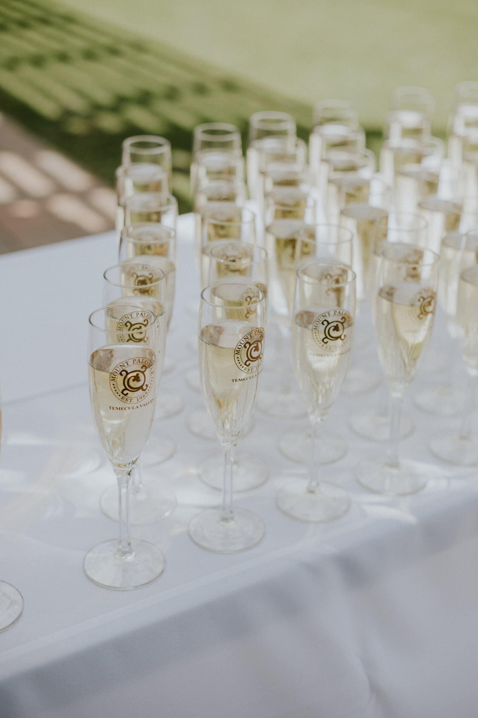 Rows of filled champagne glasses on a white table