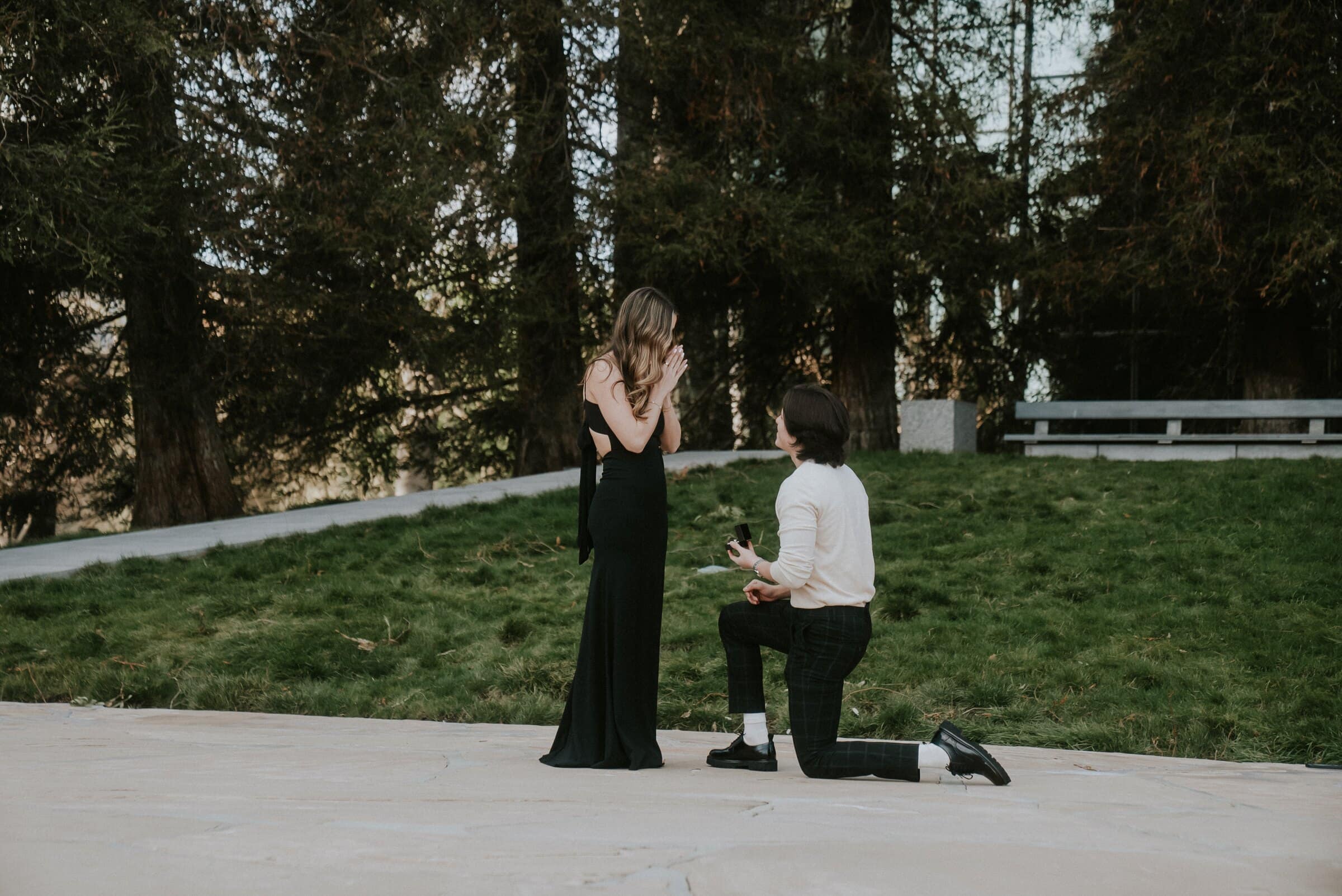 A proposal on one knee on a quiet lawn ringed with tall trees