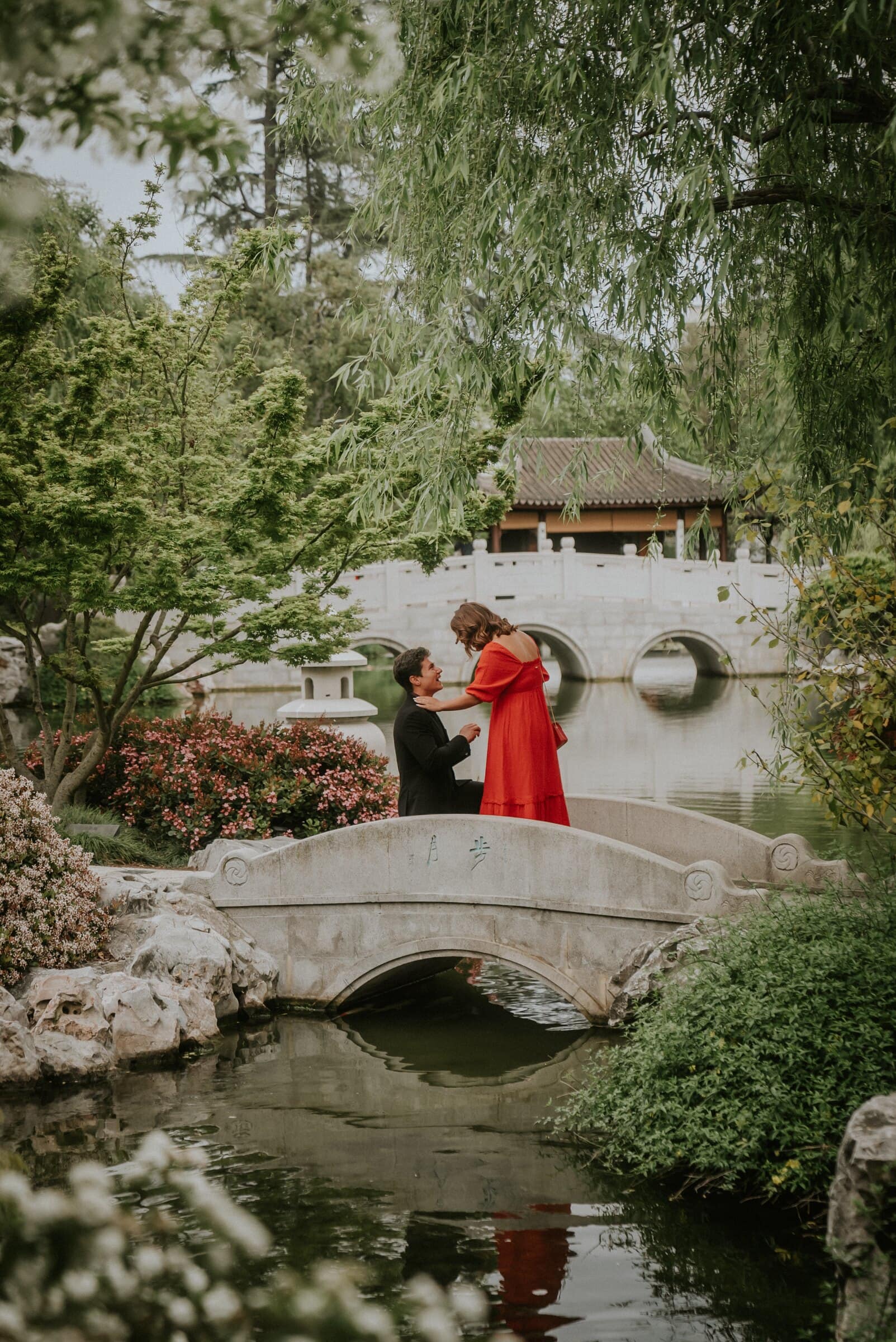 David on one knee on a white stone bridge over a garden pond, Natalie in a red dress