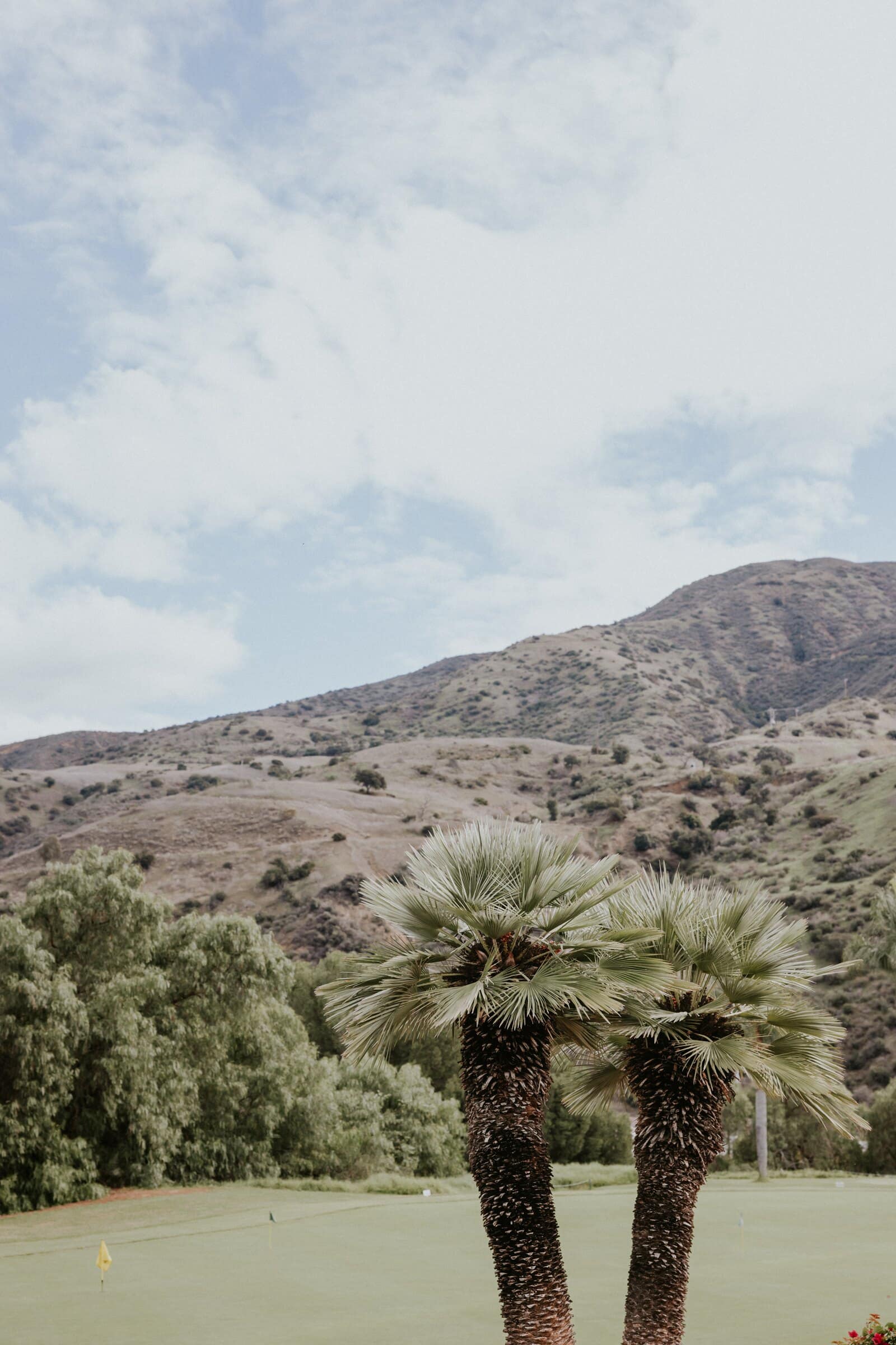 The hills and palm trees around the venue