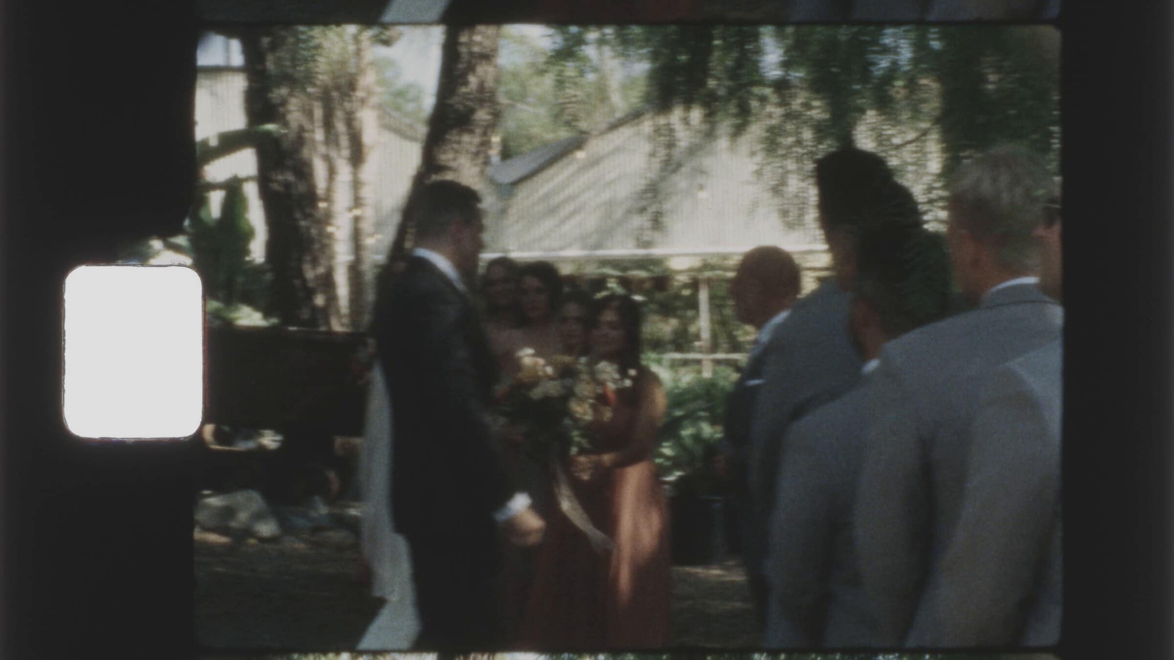 The ceremony under the trees, the wedding party standing alongside